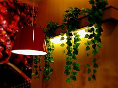 大堂-永和大王(龙德广场店)