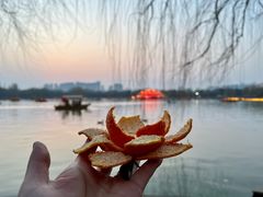 -洛阳市隋唐城遗址植物园