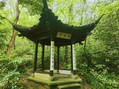 -中国茶叶博物馆(双峰馆区)