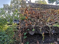 -无锡惠山寺