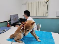 -欧奕国际动物医院