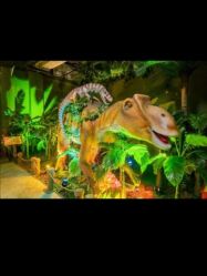 -恐龙探索乐园(磁器口店)