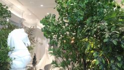 -MuseMarry婚纱(前海嘉里中心店)