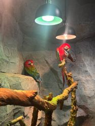 -Zoolung Zoolung动物主题公园(海信广场店)