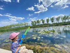 -永定河休闲森林公园