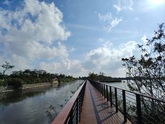 -芒洲湿地公园