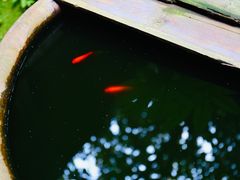 -书隐楼