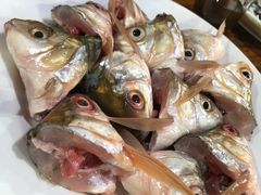 鲮鱼头-章记正宗南岗鱼蛋火锅