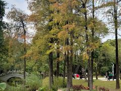 -人民公园(罗湖区)