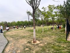 -爪吧宠物乐园·宠物泳池(温榆河示范区店)