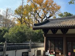 -西湖风景区十里琅珰-五云山