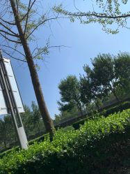 -HEYAN荷妍专业脱毛连锁机构