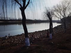 -七桥瓮公园