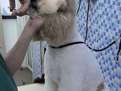 -宠颐生宠物医院·心肾内科·猫专科诊疗中心宠巢店