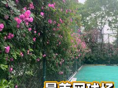 -梅龙湖