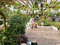 -大隐花事(熊婆婆的花园店)