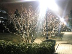 -北京化工大学(东校区)