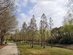 -同里国家湿地公园