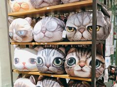 -猫咪博物馆(顶澳仔猫街店)