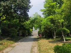 -汤山公园