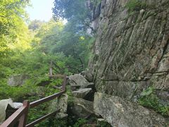 -王顺山国家森林公园