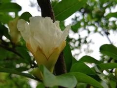 -西南政法大学(渝北校区)