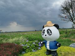 -空港花田景区