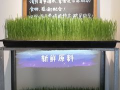 青草汁-朵朵开素食餐厅(后宰门街店)