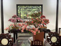 -上海醉白池公园