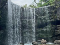 -新加坡飞禽公园