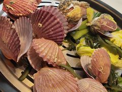 -苏大嘴蒸汽海鲜·海胆蒸饺(中山广场店)