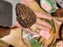 -园林美食城·本土农家菜(杨和镇店)