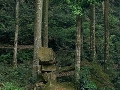 -福建土楼(南靖)景区