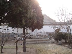 -戚继光故里