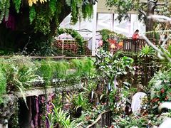 -正佳雨林生态植物园