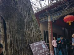 -南阳卧龙岗武侯祠