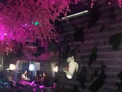 -韵秋荷(宝山龙湖天街店)