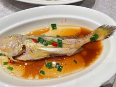 清蒸梅童鱼-东宴(温岭店)