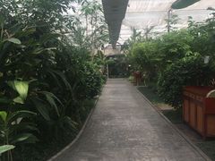 -汤山翠谷生态餐厅