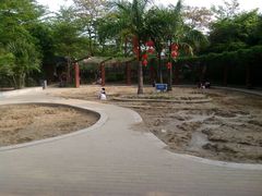 android_upload_pic-大沙河公园