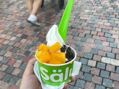 -Salud撒露欧洲冻酸奶(蓝色港湾店)