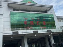 -打洛口岸