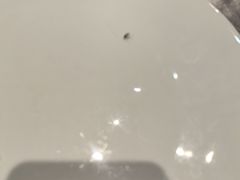 -箱美术馆私房菜(水晶郦城店)