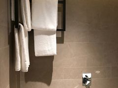 -新加坡瑞士史丹福酒店