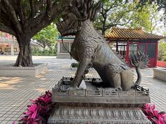 -广东圆玄道观