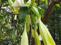 -四川大学(华西校区)