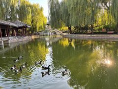 -团结湖公园