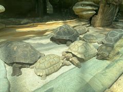 -大连森林动物园