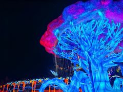 -淄博花灯齐彩城