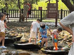 -成都市活水公园